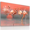 Obraz drukowany na płótnie Flamingi 120x80 cm - tropikalna dekoracja do domu