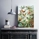 Plakat obraz rajskie ptaki 40x50 cm