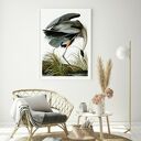 Plakat obraz Heron 61x91 cm