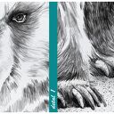 Obraz na płótnie 120x80cm Niedźwiedź 02222 - nowoczesna dekoracja na ścianę