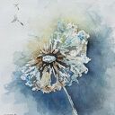 Dmuchawiec - oryginalna akwarela 20 x 20 cm