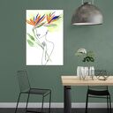 Obraz - Plakat 50x70 rajski ptak