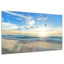 Obraz na ścianę biuro WIDOK 62 ptaki mewy morze plaża turkus 120x80