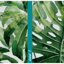 Obraz drukowany na płótnie KWIAT MONSTERA 120x80cm