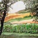Bieszczady - Polska Toskania (pejzaż natura - lato) - obraz akrylowy 50 x 40 x 2 cm