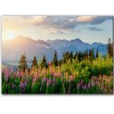 Obraz na płótnie - 100x70 cm Tatry (1 0724)