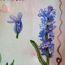 Lawenda tablica botaniczna - akwarela 24x18 cm