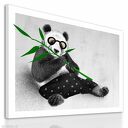 Obraz na płótnie - 80x60cm PANDA wysyłka w 24h 02158
