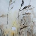 TRAWY-akwarela formatu A5