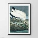 Plakat obraz white vintage B2 - 50x70 cm
