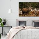 Obraz na płótnie - trzy jelenie w lesie 120x80 cm
