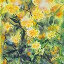 Żółte kwiatki - oryginalna akwarela (42x29,7 cm)
