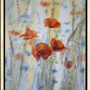 Polne Maki - obraz olejny ręcznie malowany 50x70 cm