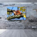 Obraz na płótnie z wiewiórką na gałęzi 120x80 cm