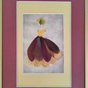 Golden Bloom - obraz z prawdziwych suszonych kwiatów 30x40 cm