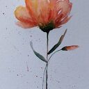 Oryginalna akwarela z kwiatkiem 32x24 cm - sygnowana