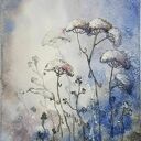 Zimowa Łąka - ręcznie malowana akwarela 12,5 x 18 cm