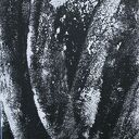 Tryptyk zimowy black&white - obraz akrylowy na płótnie 60x40x1 cm