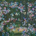 Obraz akrylowy Świetliki