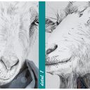 Nowoczesny obraz na płótnie z kozami w swetrach - Rodzina Kozłowskich 120x80 cm 02465