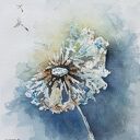 Akwarela Dmuchawiec 20x20 cm - oryginalny obraz bez oprawy