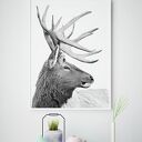 Plakat obraz skandynawski jeleń 61x91 cm