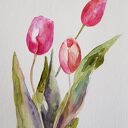 Tulipany - akwarela formatu 32/24 cm
