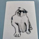 Buldog. Grafika akwarelowa monochromatyczna 10x15 cm