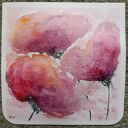 Maki - ręcznie malowana akwarela 15x15 cm