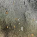 Obraz na ścianę z galopującymi końmi - 120x80 cm