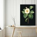 Plakat Obraz Black Vintage 50x70 cm B2 - czarna nostalgia na Twojej ścianie 
