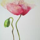 MAK-akwarela w formacie 24/32 cm - ręcznie malowana