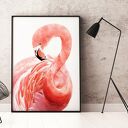 Plakat obraz flaming B1 - 70x100 cm