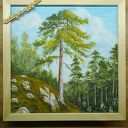 Obraz z ramą - "Wsłuchaj się w szepty lasu" (30x30 cm) - pejzaż sosny