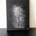 Obraz olejny 30x40 - Sekret Nocy, nocny las w srebrnej mgle
