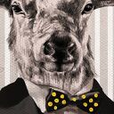 Obraz na płótnie 80x100 DEER LOVE - prezent z motywem jeleni i love, gotowy do powieszenia