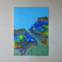 Karasie pastela olejna A4
