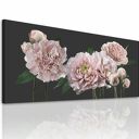 Piwonie na płótnie 147x60 cm - nowoczesny obraz do salonu i sypialni