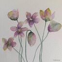 Kwiatki - akwarela 20x20 cm (oryginalny obraz)