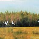 Podlaskie granice - obraz akrylowy 120x40x2 cm z ptakami