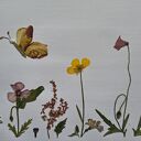 Tam, gdzie zaczyna się magia - obraz botaniczny z suszonych kwiatów 30x40 cm