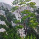 OBRAZ RĘCZNIE MALOWANY AKRYLOWY "GÓRZYSTA KURTYNA" - 30x24cm