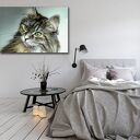 Obraz na płótnie z puszystym kotem norweskim 120x80 cm