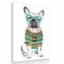 Obraz na płótnie 60x80 cm Bulldog - wysyłka w 24 h
