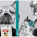 Obraz z rodziną buldożków francuskich 120x80 cm - druk na płótnie