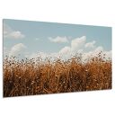 OBRAZ NA PŁÓTNIE Łąka 3 Suche Trawy Pejzaż Niebo Chmury 120x80