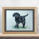 Labrador w pastelach - ręcznie wykonany obraz 24x32 cm