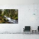 Obraz na płótnie Potok w lesie - pejzaż Karkonoszy 120x80 cm