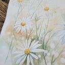 Delikatność natury - akwarela z rumiankami w passe-partout 40x50cm