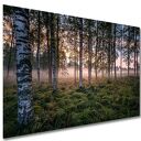 Obraz las brzozowy mgła wschód słońca na płótnie 120x80